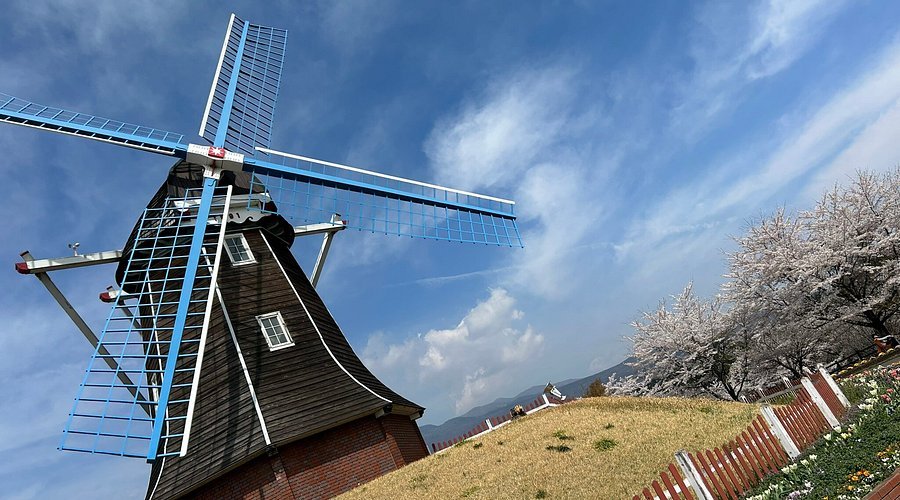 🌷 그린 플라워 목장 휴게소・오고(미치노에키 그린 플라워 보쿠조・오고) 이미지 6